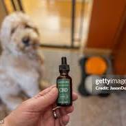 CBD Pets